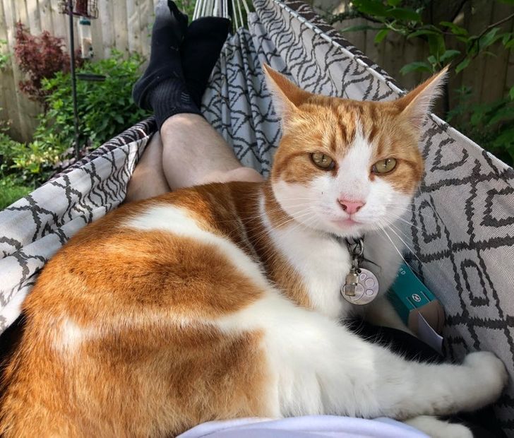 afa3be5071b60d8d6d1160c5b6 afa3be5071b60d8d6d1160c5b6