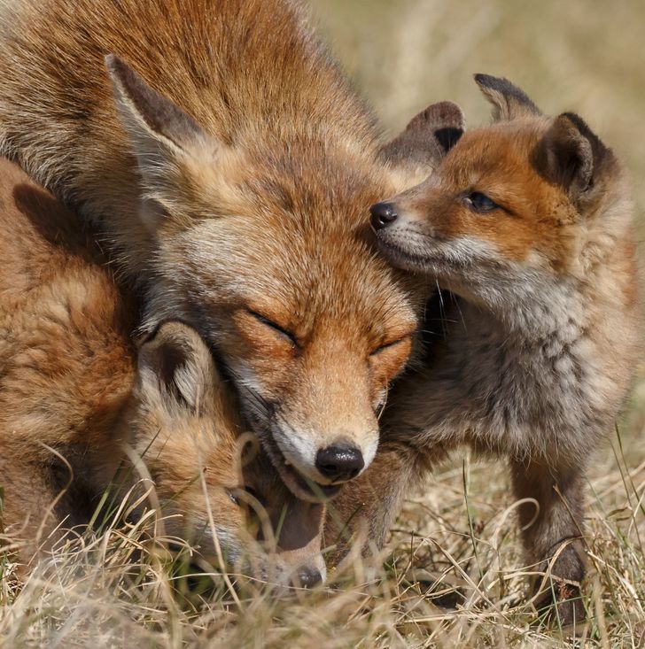 afaa3555e58c5ad8788c89f989