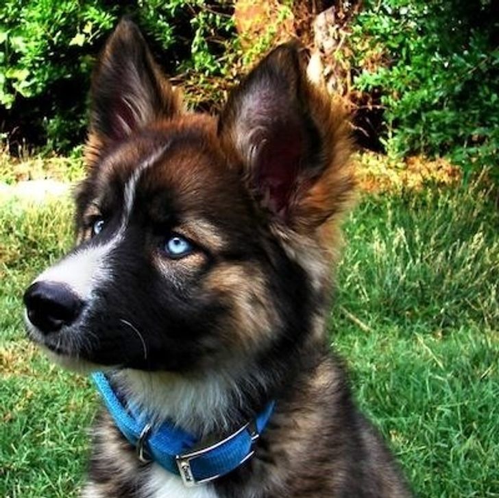 afacd655ff9c9ce24045c950b1