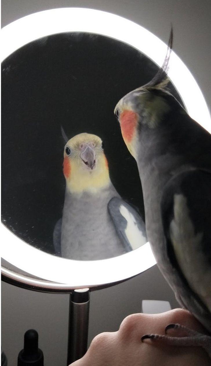 afad90598eba1eb4ea8f27b5e7