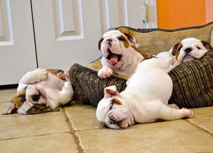 afb5ac59e6b8805272307c206b