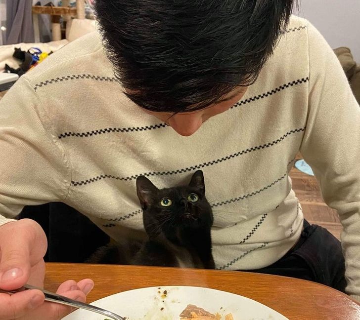 afb76b5a1dbc7495cd801e424e