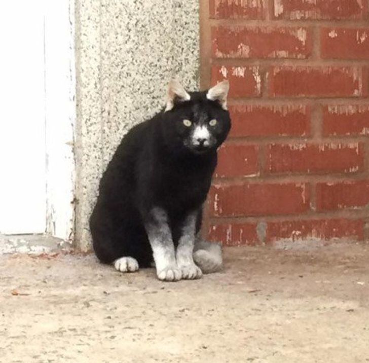 afbdf45e0c8a56e2a0848242f3