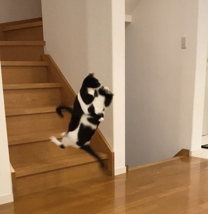 afbe7b5574abd605e425a862dc