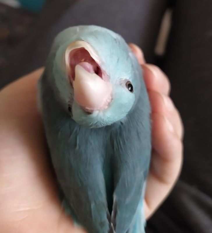 afc0825681a95abdfe06696283