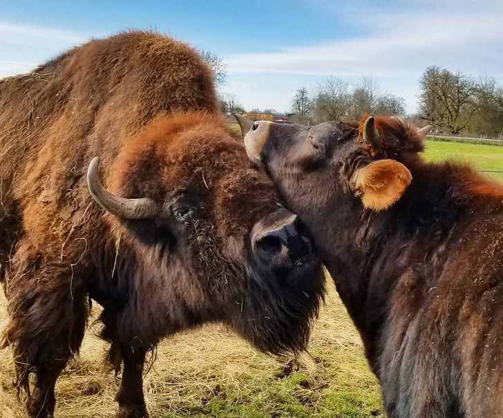 afc75d59468855e0e1a359168c