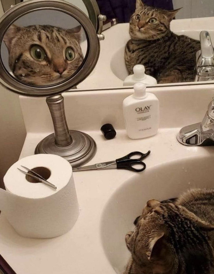 afcc50568f8e86907ed31b3e11 afcc50568f8e86907ed31b3e11