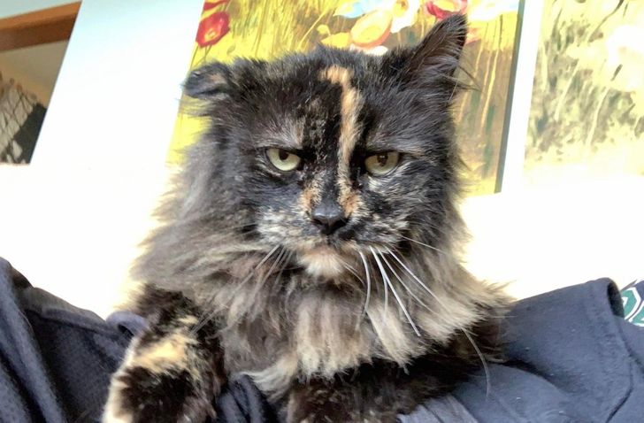 afd24a5f4b840d43f329e8baeb