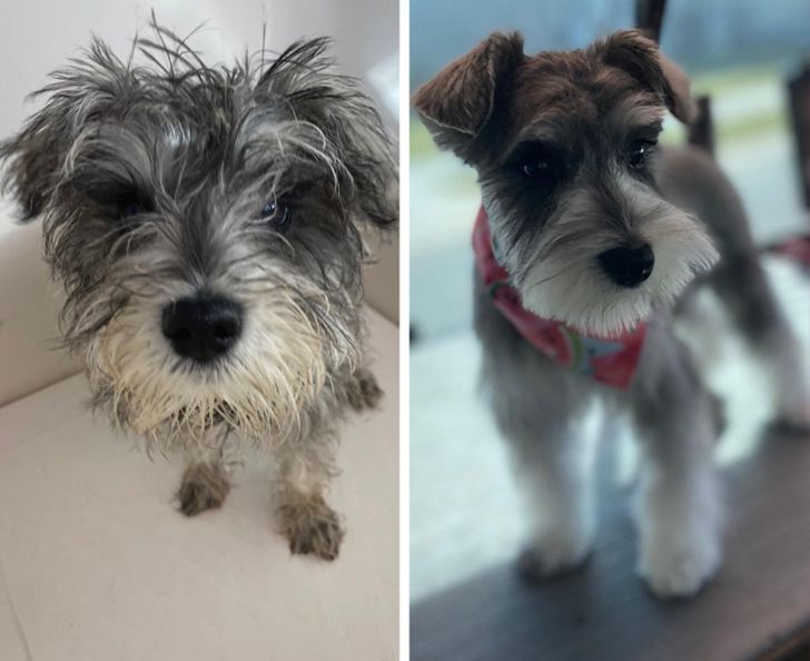 afe066595c8dc1e79eeb3c46d1 afe066595c8dc1e79eeb3c46d1