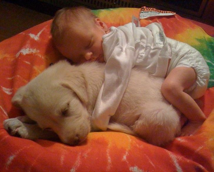 afe74659ec96ee922f5581b982