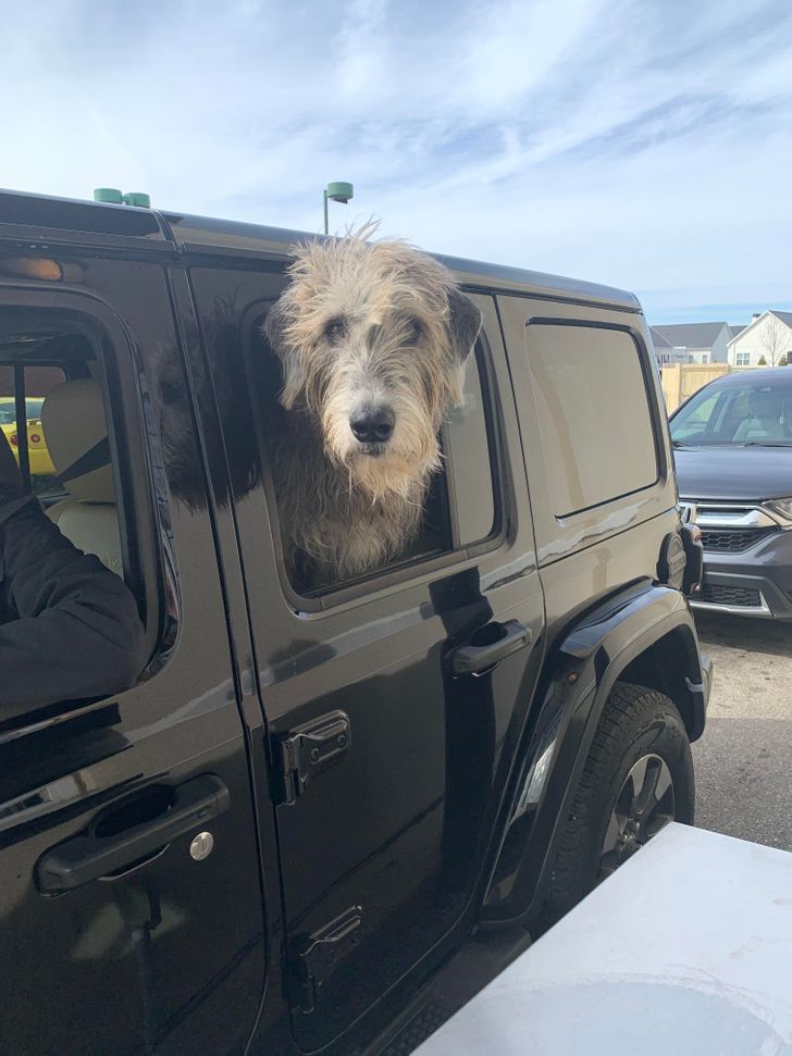 afe7845bdaa8b84f1a74f9105a