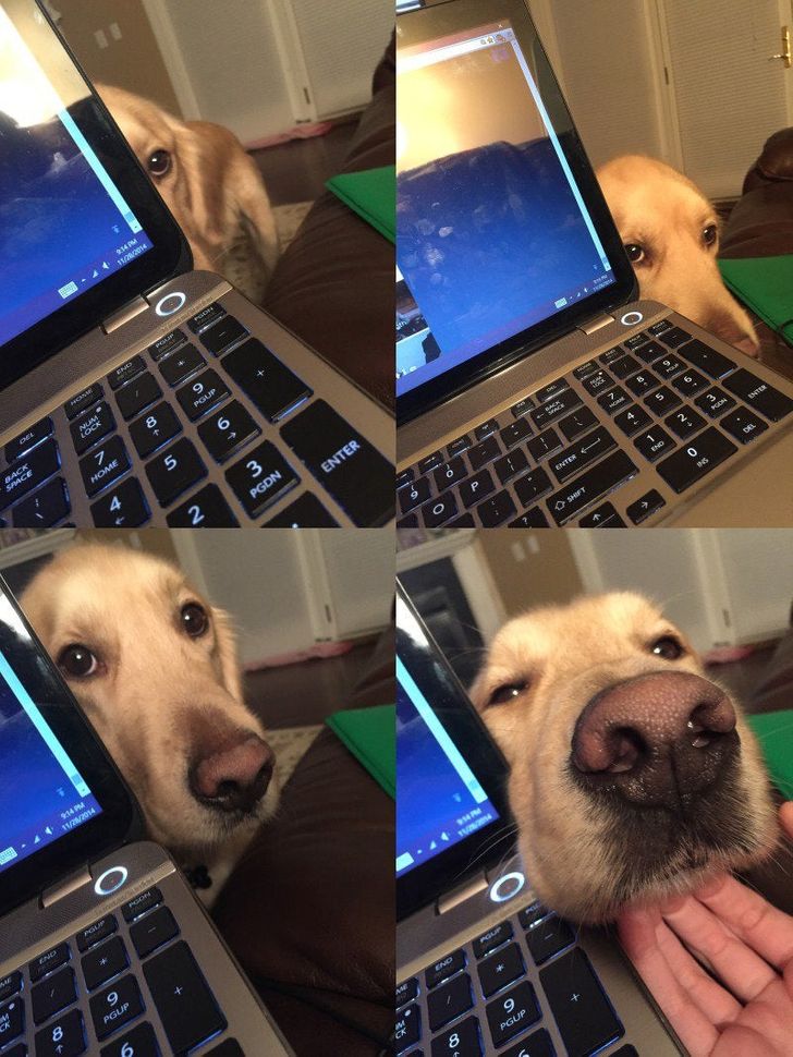 afee0252c89c2f382b571add71