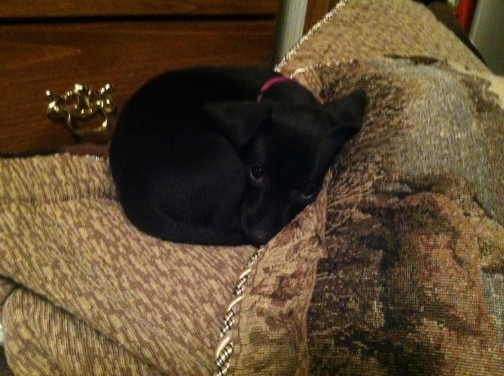 afee3a5874b8bb88655e30917b