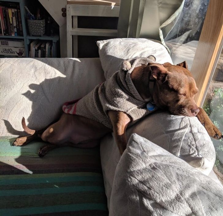 aff19b5a2db69aeab7d0c6c012