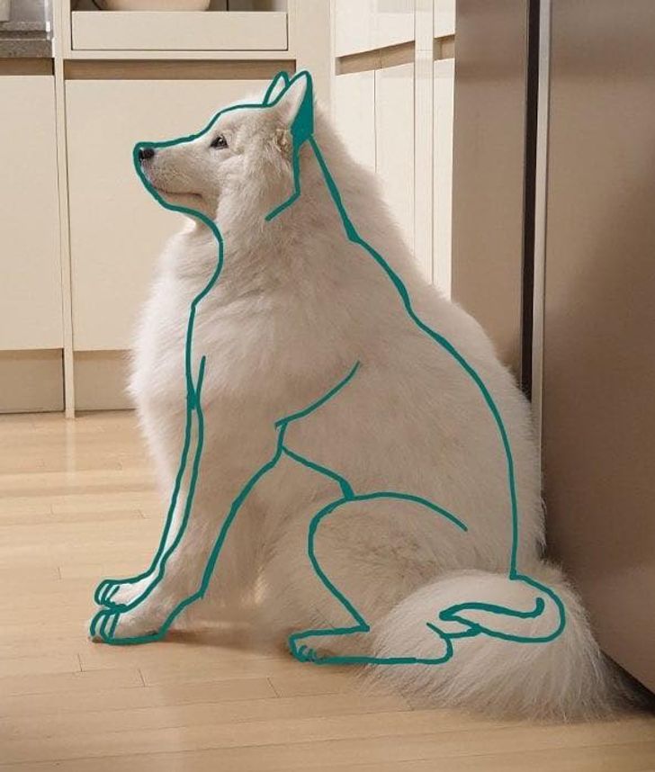 aff566515db45606b6cd15bb1f