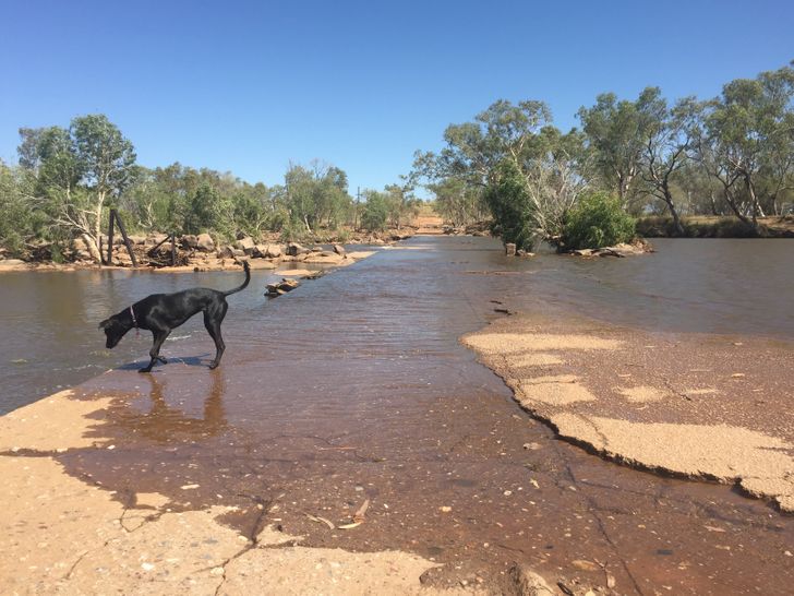 aff87153b6ba7231f826e5c791