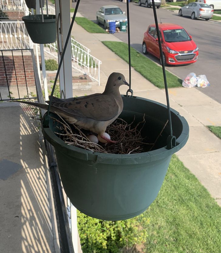 affa3f5c339ddfa809dec891a5