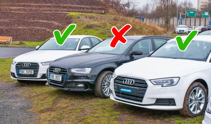 b00953598f94be379a66dfa913