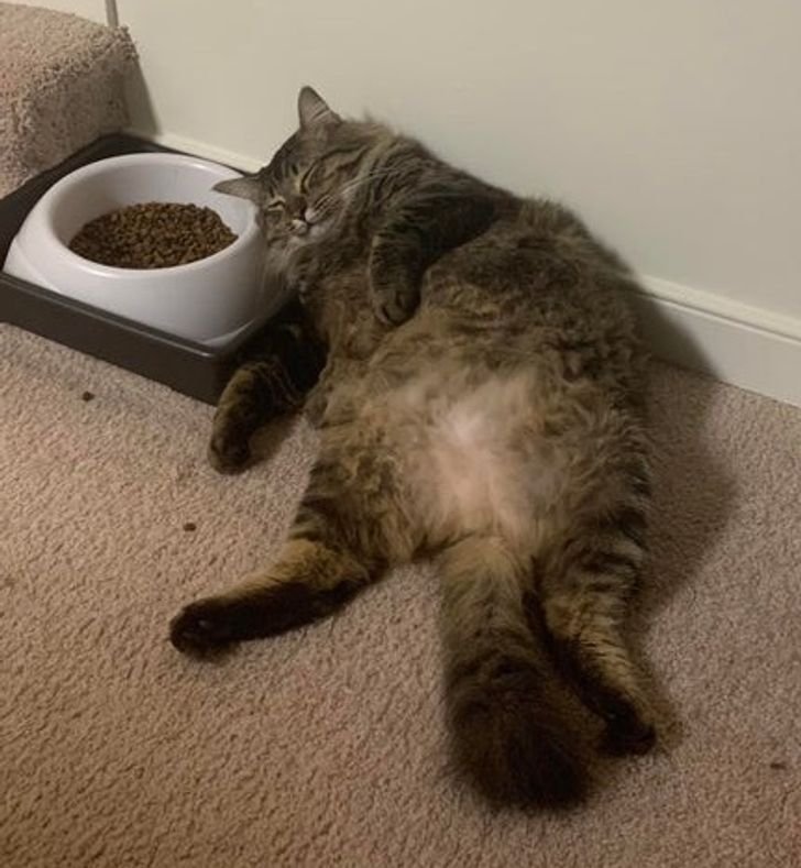 b00bd858288717151107d19e63-1 b00bd858288717151107d19e63-1