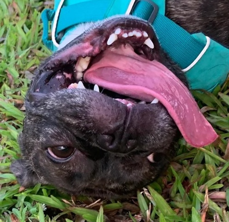 b011145eb3835897386420306b