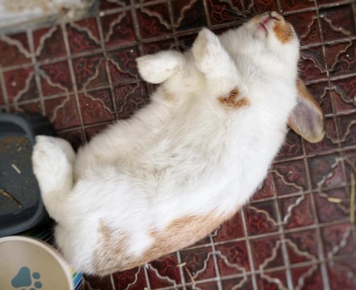 b01222502c90d2ee35cc1ebf1e