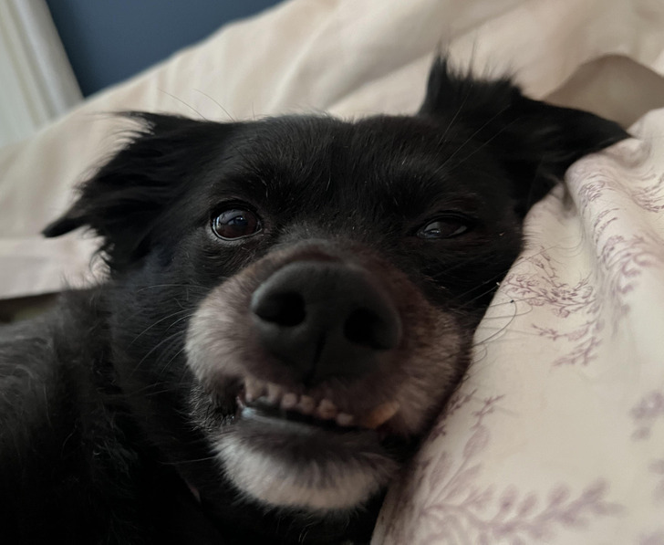 b01d4e503998bf152e55c5e174 b01d4e503998bf152e55c5e174