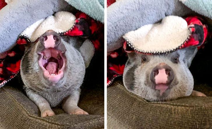 b023b450e885d38a9089c77ad3