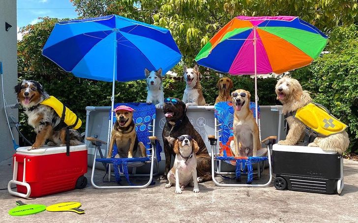 b02968551084abfb5f5ea03976