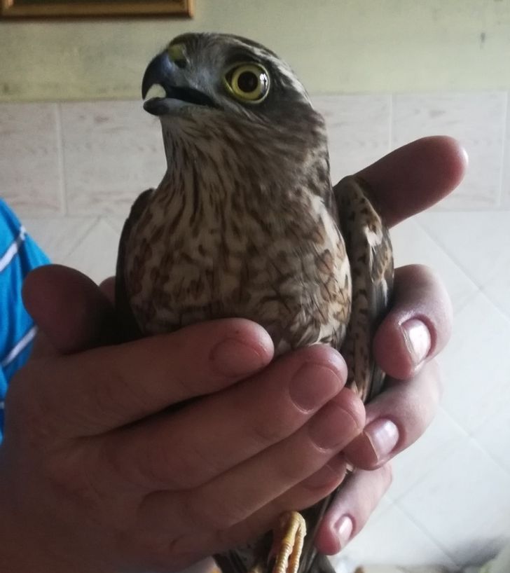 b0361c5fbf9e4c23e97e2944d9