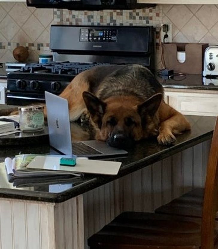 b038005250afd04aa6b3dcb7d3