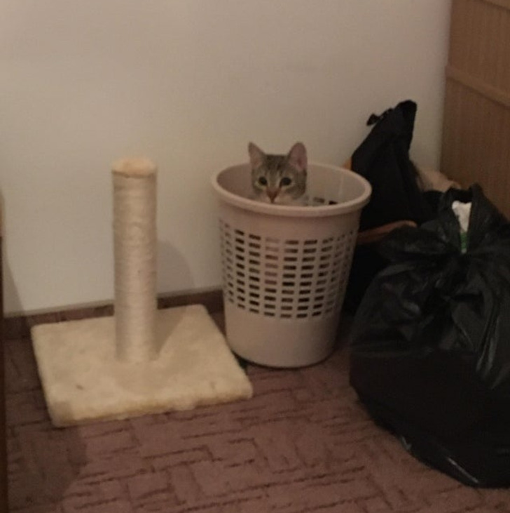 b0385b556da9b4aea2054eb229 b0385b556da9b4aea2054eb229