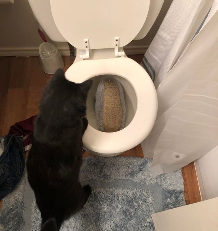 b03e07572f8f94e5386b213653