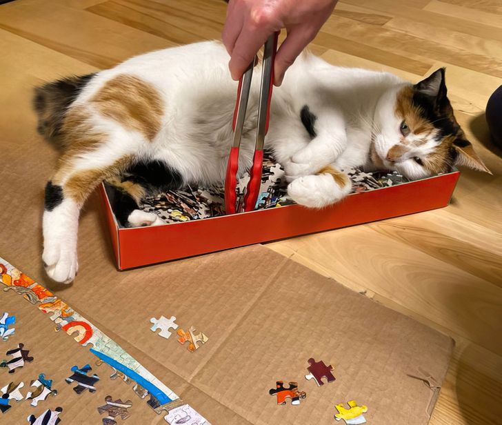 b0430f509782cf67a3d448f85c