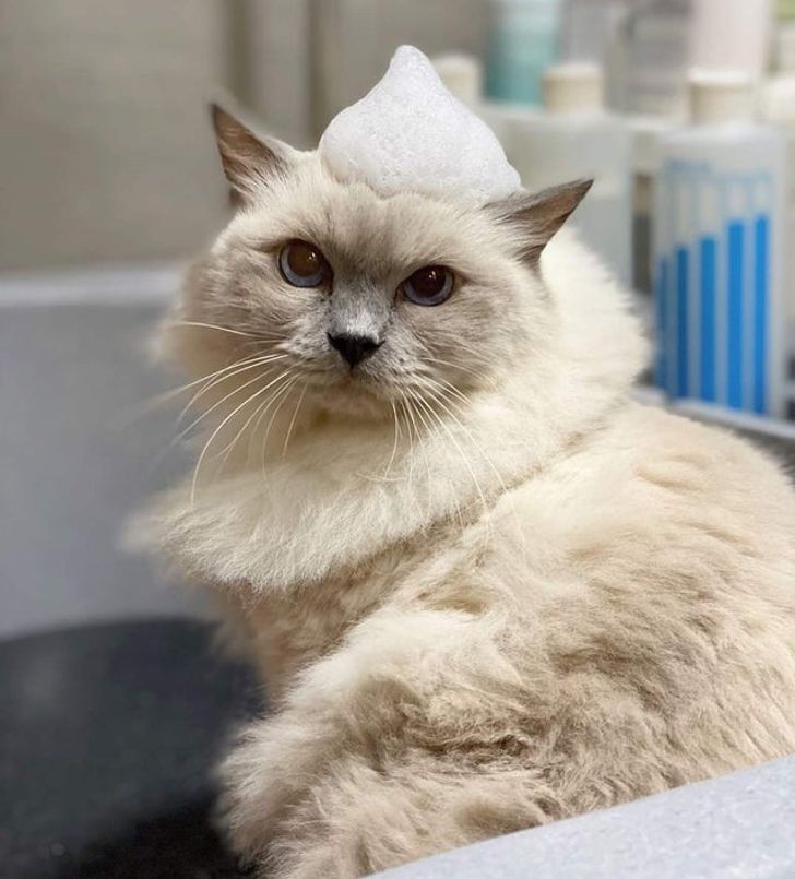 b04443597783fb74b17f62225d b04443597783fb74b17f62225d