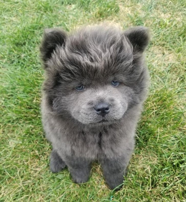 b046885049a6ac0c683d53e7e8