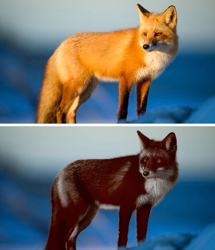 b0476f539a8f700ab05de2dd69