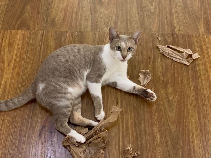 b0490b51558d9c12320bf4ed23