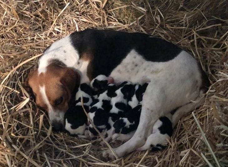 b053aa509ba780dae737337fac