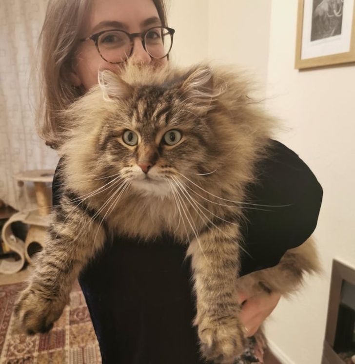 b057145ddd87fa41fa466e39fe