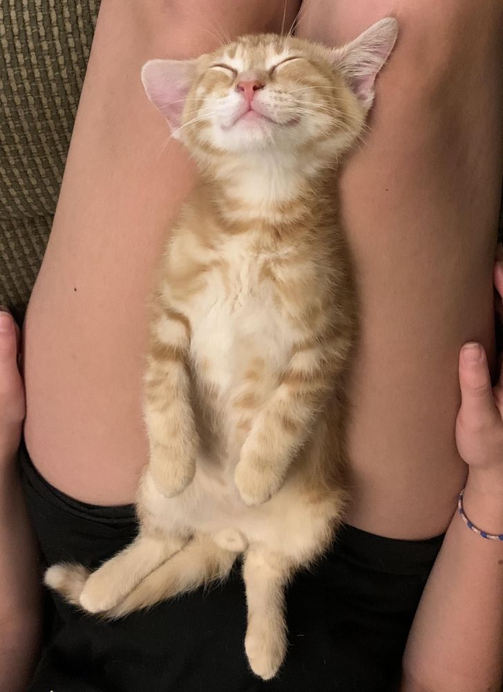 b05d9753e688306a70b52899a7