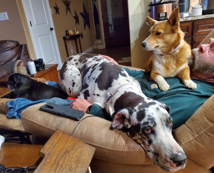 b05ff253de9c0817739bb87ab7