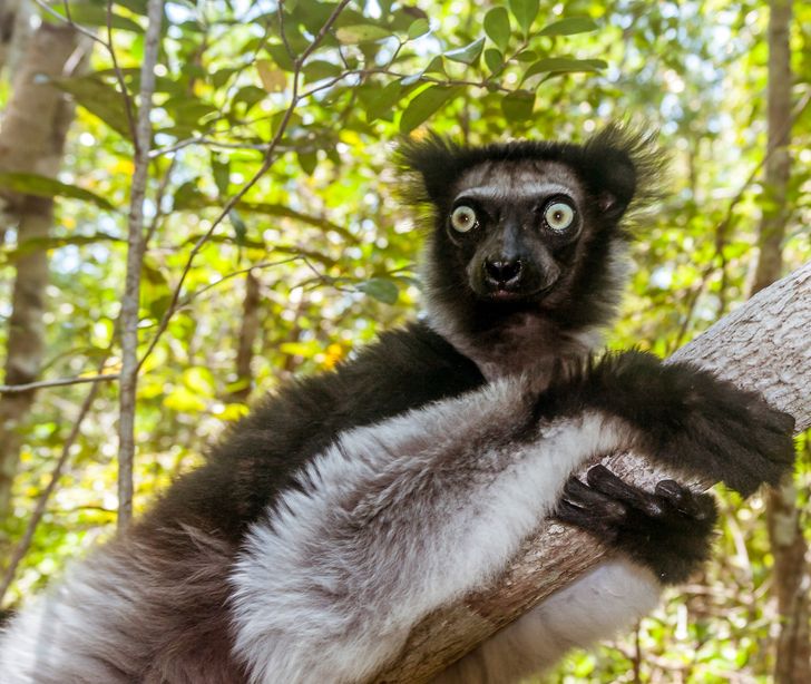 b064805403ba78dbbd73c3e42b