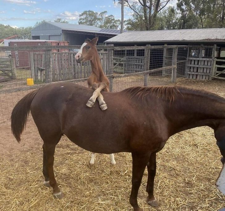 b07cb1570998207dcc3877b6f8 b07cb1570998207dcc3877b6f8