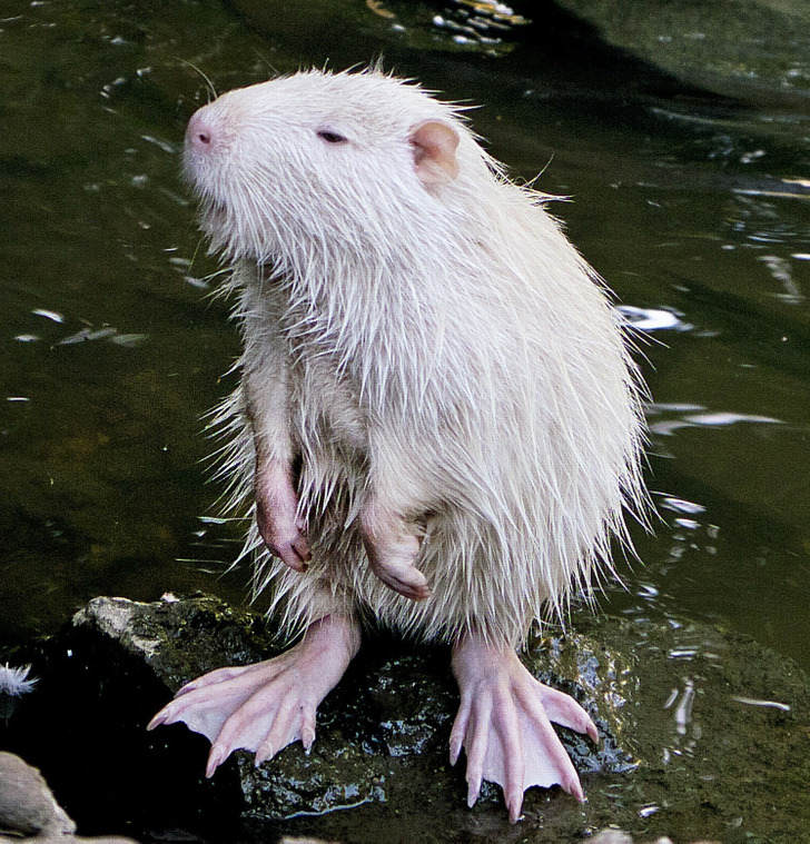 b081b05bf4a70aa21e5bd0cfcb