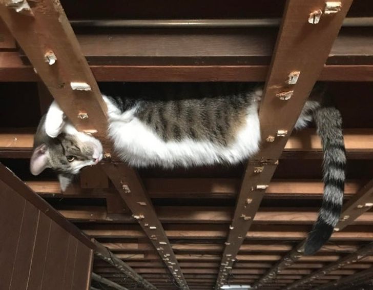 b0876d5f3f84ece4bd25f6b2e9