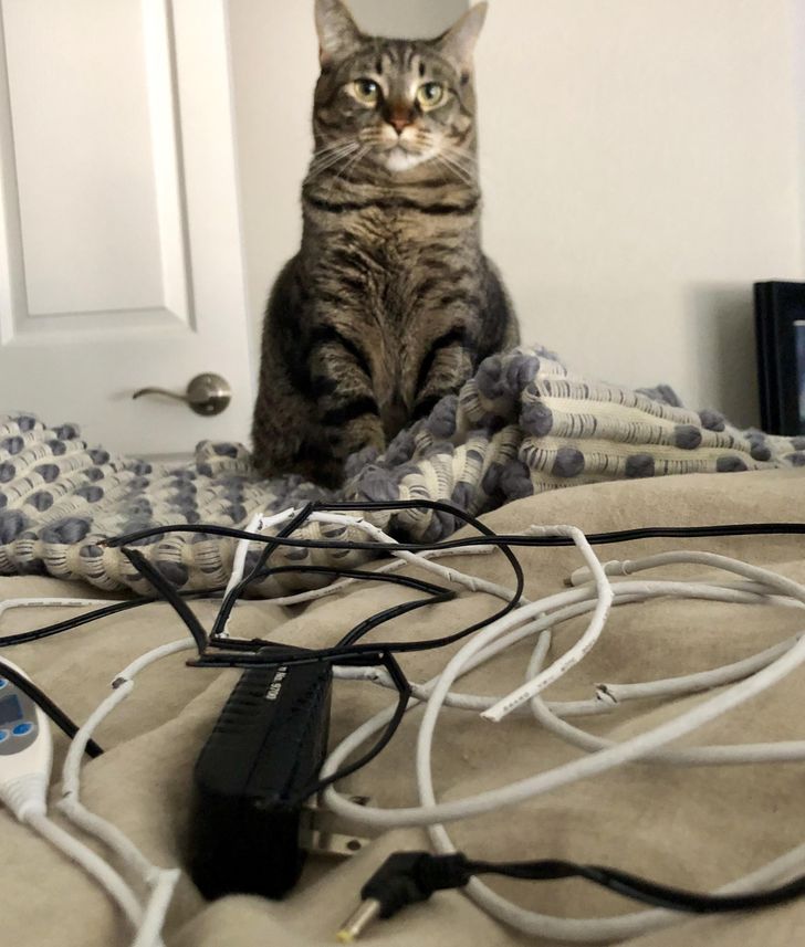 b088cf510685803946449f2084