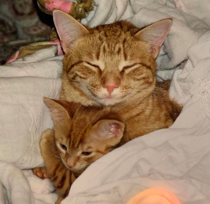 b08a665191ae8e6e7cbecd2fc4