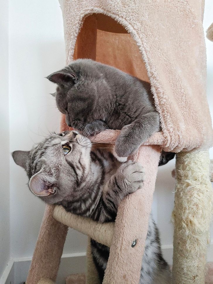 b08bd55f1b96bd1f4afe852f7b b08bd55f1b96bd1f4afe852f7b