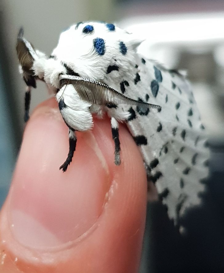 b08c965c95bc4c16cdd4834edf