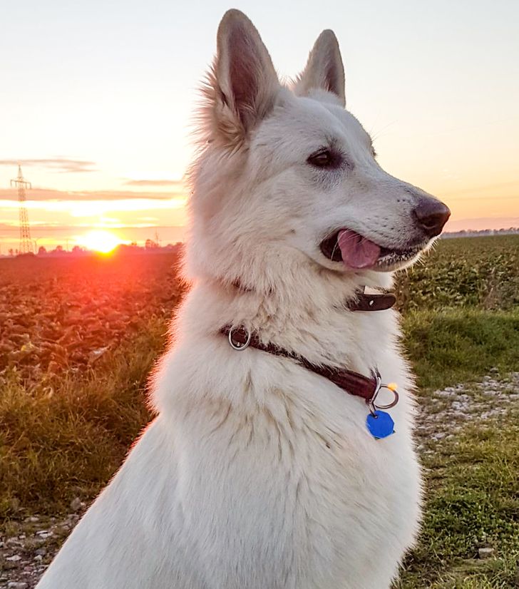 b091315e4f894eecbd2d9b835e